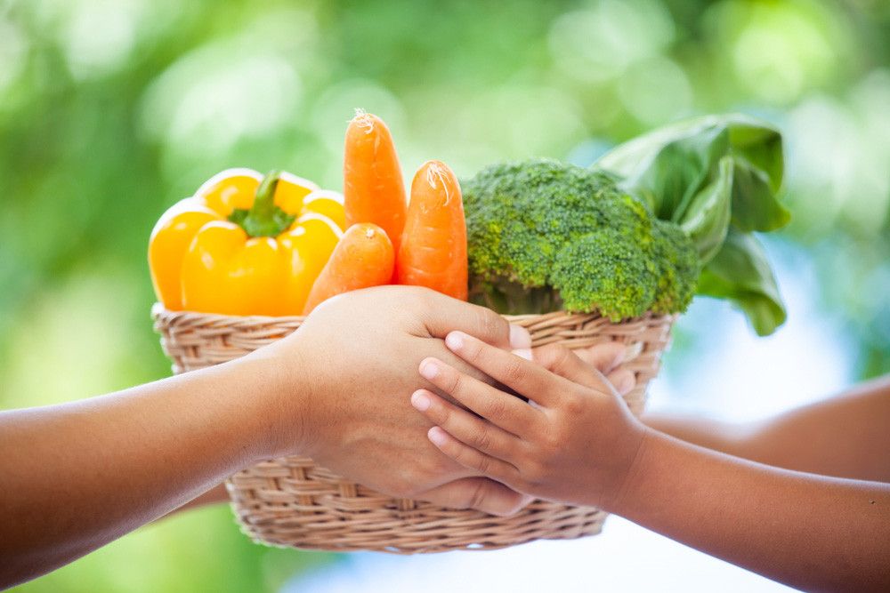 Catat, 5 Makanan Ini Penting untuk Tumbuh Kembang Anak