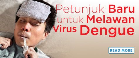Petunjuk Baru Untuk Melawan Virus Dengue
