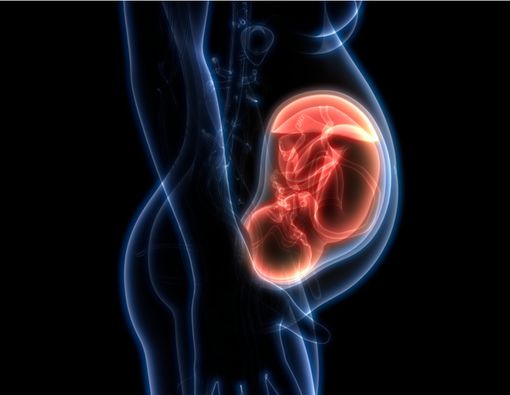 Waspadai Bahaya Polusi Kabut Asap bagi Ibu Hamil dan Janin