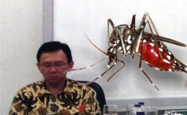 Ahok Kena DBD