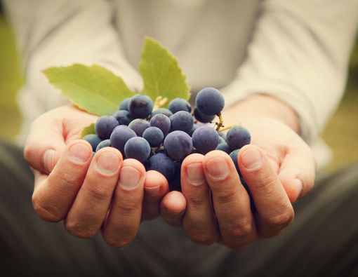 Daftar Makanan Beralkohol yang Mungkin Belum Anda Ketahui