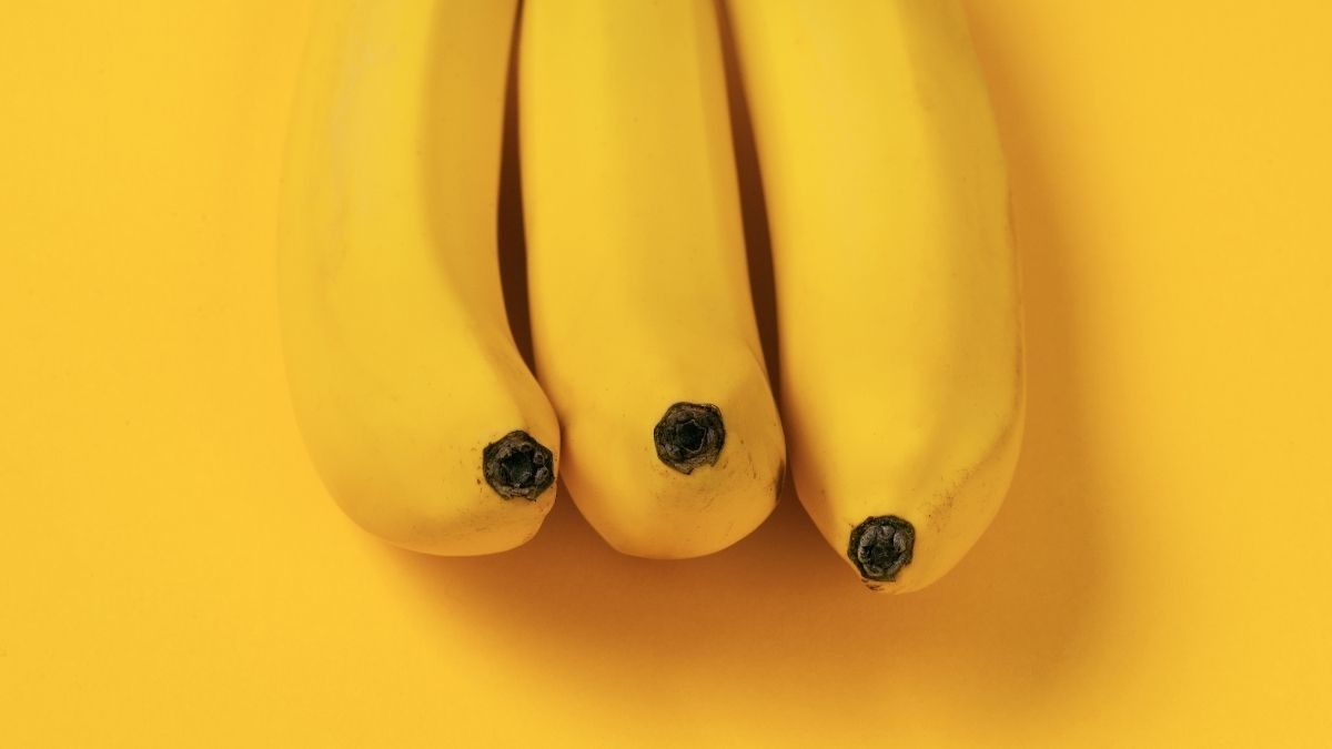 Bayi Lahir dengan Tiga Penis, Ketahui Kondisi Triphallia