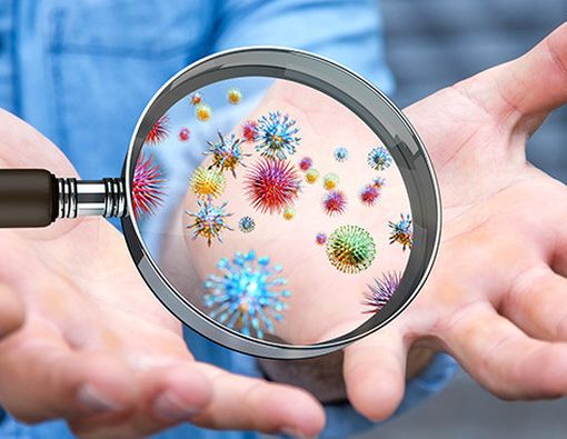 Mengenal Benteng Pelindung Tubuh terhadap Ancaman Kuman