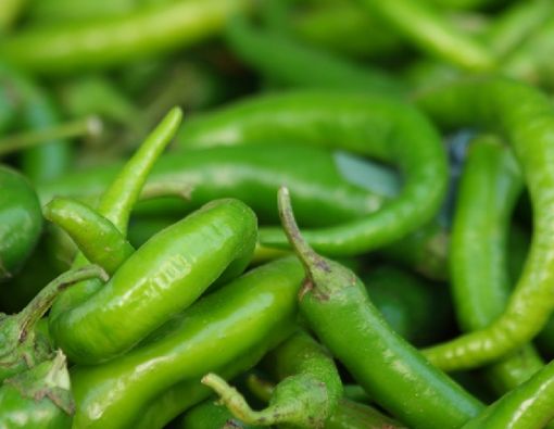 Manfaat Cabai Hijau untuk Kehamilan