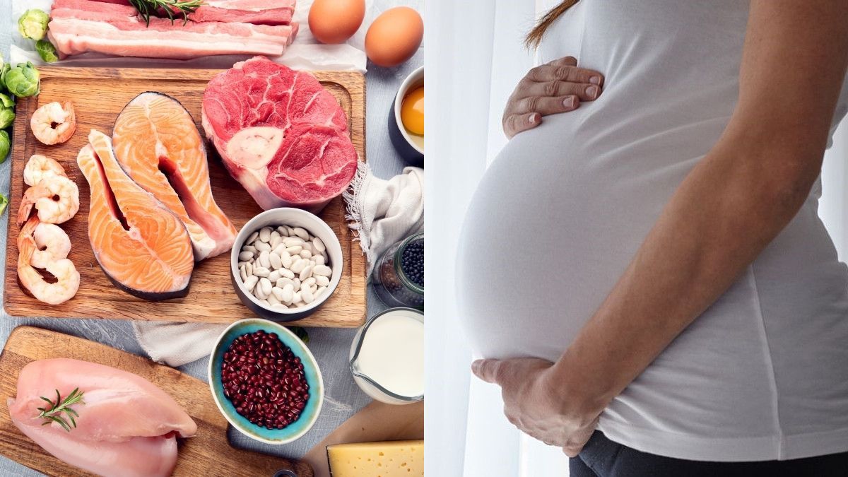 Rekomendasi Makanan Tinggi Protein untuk Ibu Hamil
