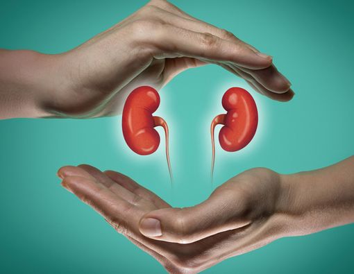 Pola Makan Tepat untuk Menjaga Kesehatan Ginjal