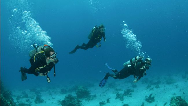 Kenali Gangguan Pendengaran Saat Olahraga Menyelam
