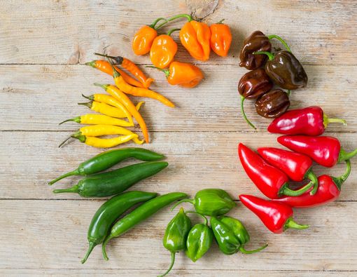 Makan Cabai Super Pedas, Berbahayakah bagi Kesehatan?