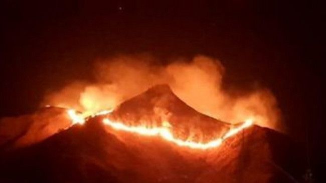 Asap Kebakaran Hutan Bromo Berisiko Picu Gangguan Pernapasan