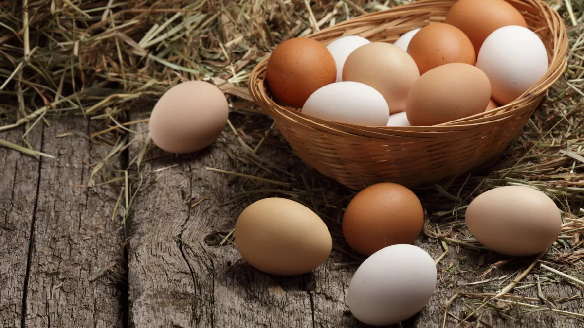 Perbedaan Jenis Telur Ayam yang Perlu Diketahui dan Manfaatnya