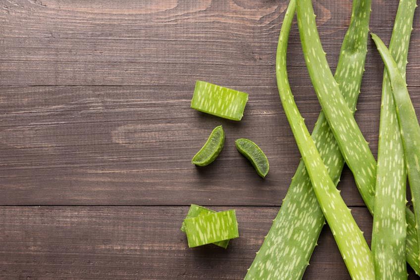 4 Khasiat Lidah Buaya untuk Wajah Berjerawat