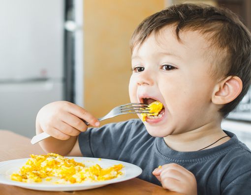 Anak Hobi Makan Telur, Seberapa Sering Boleh Mengonsumsinya?
