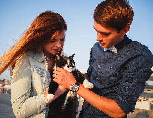 Kiat Bebas Toksoplasma bagi Pencinta Kucing