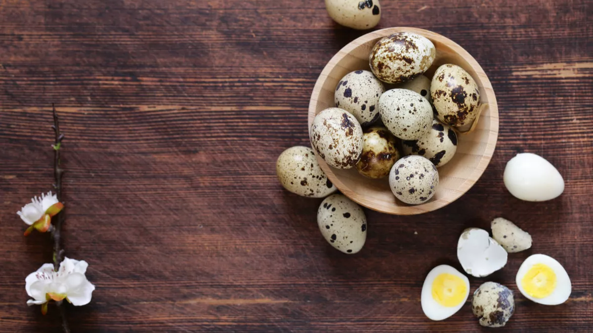 Benarkah Telur Puyuh Bisa Tingkatkan Kolesterol dalam Tubuh?