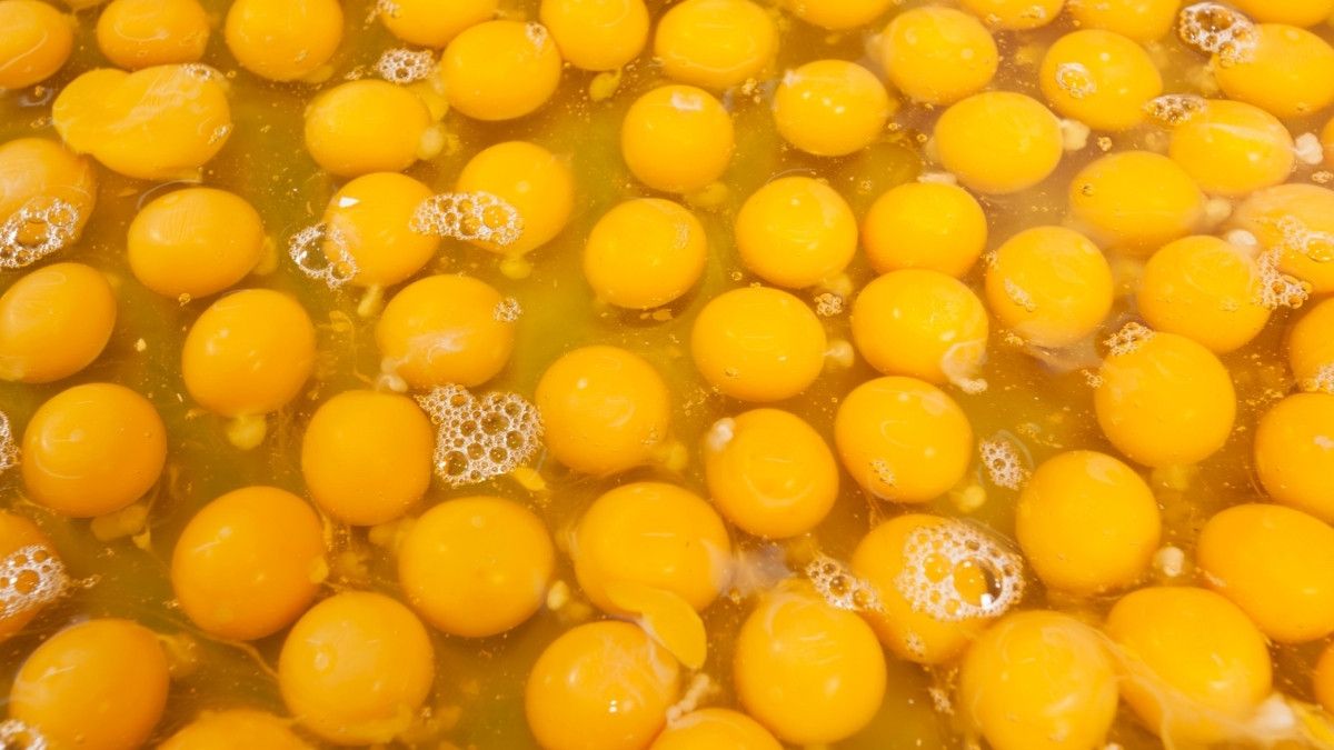 Menyingkap Manfaat Masker Kuning Telur untuk Rambut