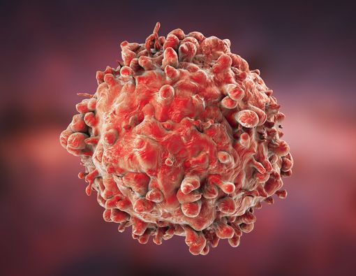 Tiga Jenis Kanker Darah yang Harus Anda Tahu