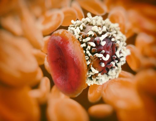 Cegah Kanker dengan Berbagai Tips Berikut Ini