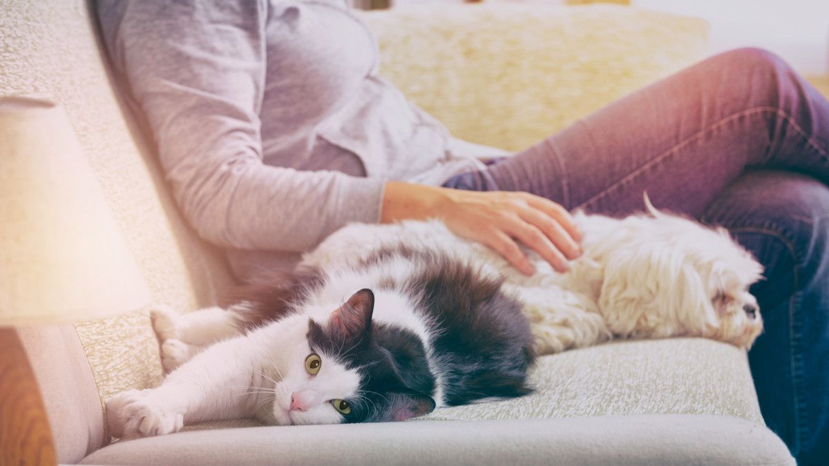 Penderita Autoimun Tak Boleh Punya Hewan Peliharaan? Ini Faktanya!