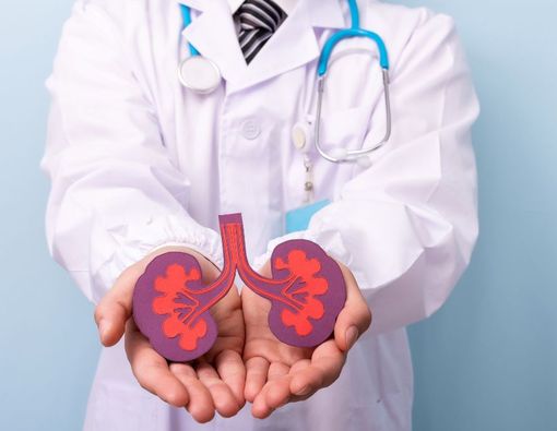 Syarat dan Prosedur Donor Ginjal