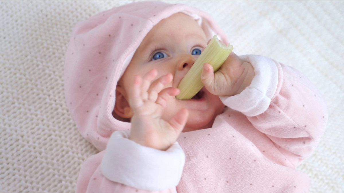 Amankah Bayi Konsumsi Seledri? Ini Kata Dokter