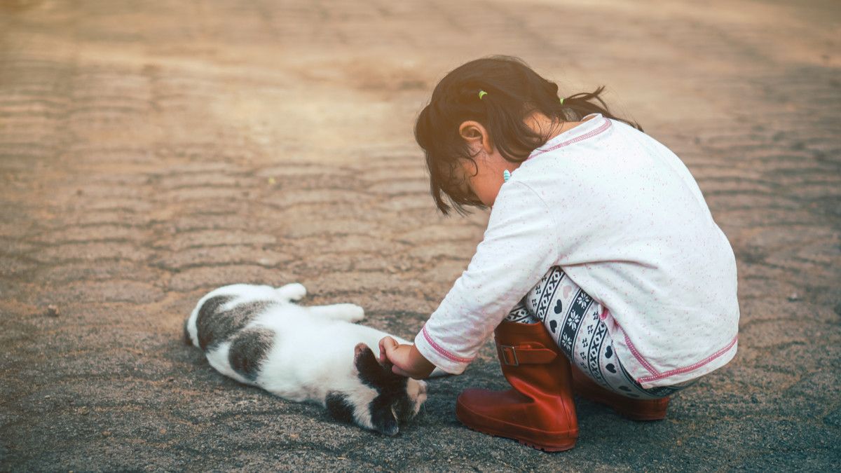 Hewan Peliharaan Mati, Apa Dampak Psikisnya bagi Anak?