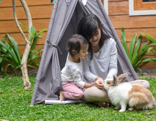 Cara Mengatasi Si Kecil yang Takut Binatang