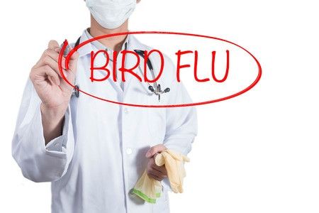 Lindungi Diri Anda dari Flu Burung dengan Cara Ini