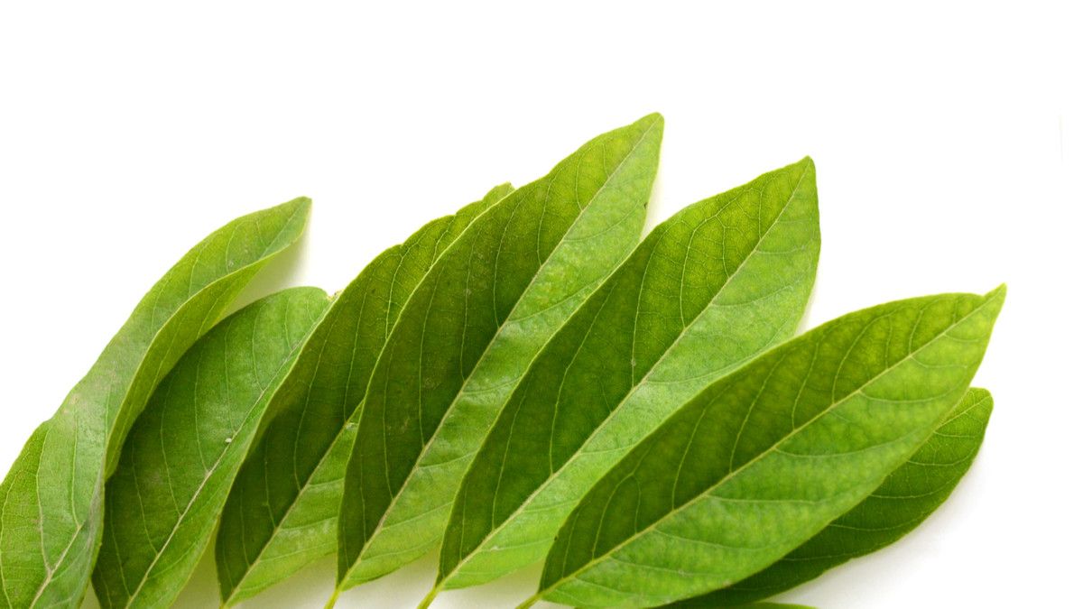 Efek Samping Konsumsi Daun Sirsak Ini Perlu Anda Waspadai