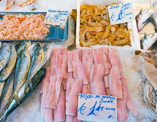 Amankah Memberikan Seafood untuk MPASI si Kecil?