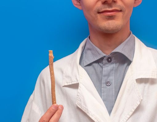 Siwak Ampuh untuk Memutihkan Gigi, Apakah Benar?