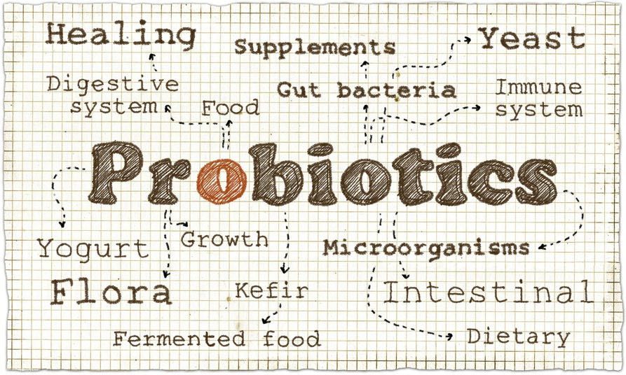 Kenali Manfaat Probiotik untuk Anak