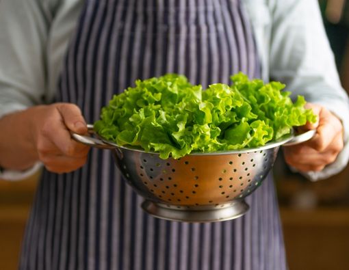 Manfaat Lettuce atau Selada Bokor untuk Kesehatan
