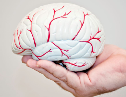 Berbagai Jenis dan Fungsi Saraf Kranial di Tubuh