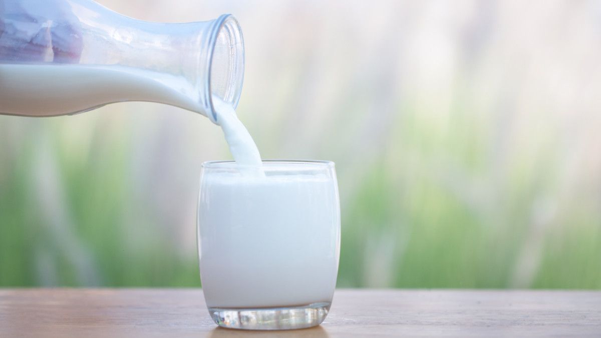 Kapan Waktu Terbaik Minum Susu, Pagi atau Malam Hari?