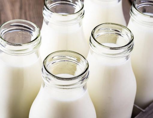 Mana Lebih Sehat, Susu Sapi atau Susu Kambing?