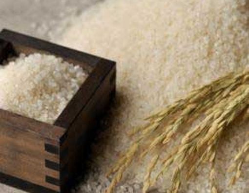 Albumin Ditemukan Dalam Beras