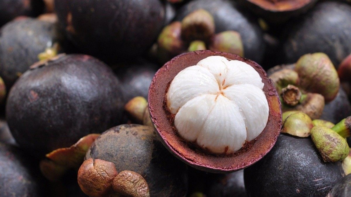 Manfaat Manggis bagi Kecantikan Kulit