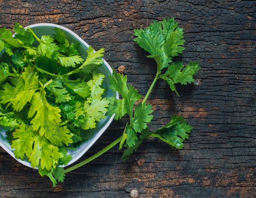 Mau Pakai Daun Ketumbar untuk Kesehatan Kulit? Ini Caranya!