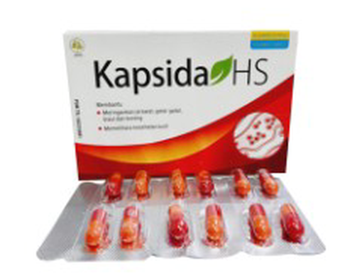 Kapsida HS