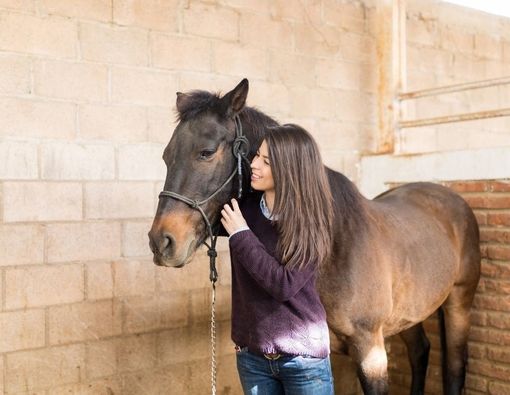 Apa Itu virus Hendra? Kenali Penyebab dan Pencegahannya