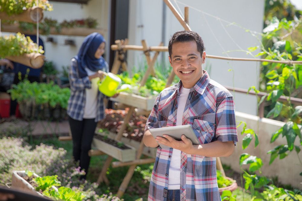 Urban Farming dan Manfaatnya bagi Kesehatan