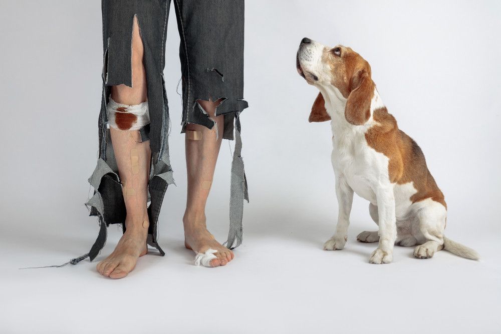 Rabies, Tak Hanya karena Gigitan Anjing