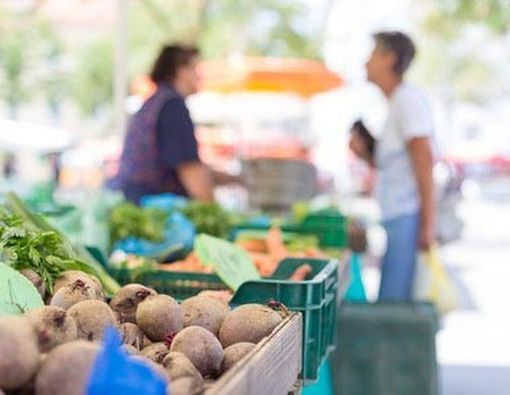 Hindari Kesalahan Ini Saat Membeli Makanan Organik