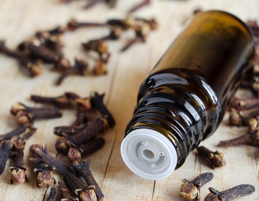 5 Manfaat Cengkeh untuk Ibu Hamil dan Janin