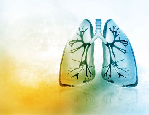 Waspada, Kamar Lembap Rentan Picu Infeksi Paru!