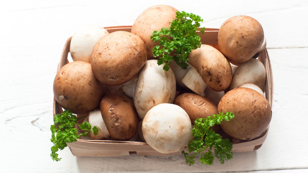 Manfaat Jamur untuk Penderita Diabetes