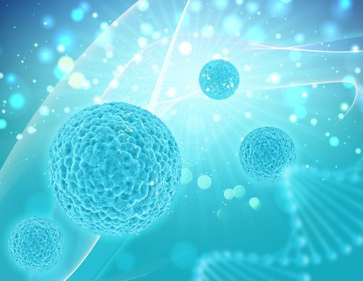 Stem Cell Tumbuhan dan Manusia Itu Berbeda, Ini Penjelasannya!