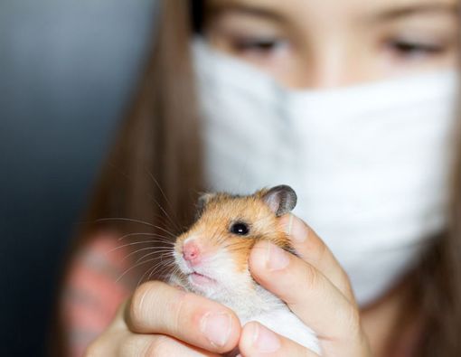 Bolehkah Anak Alergi Bulu Miliki Hewan Peliharaan?