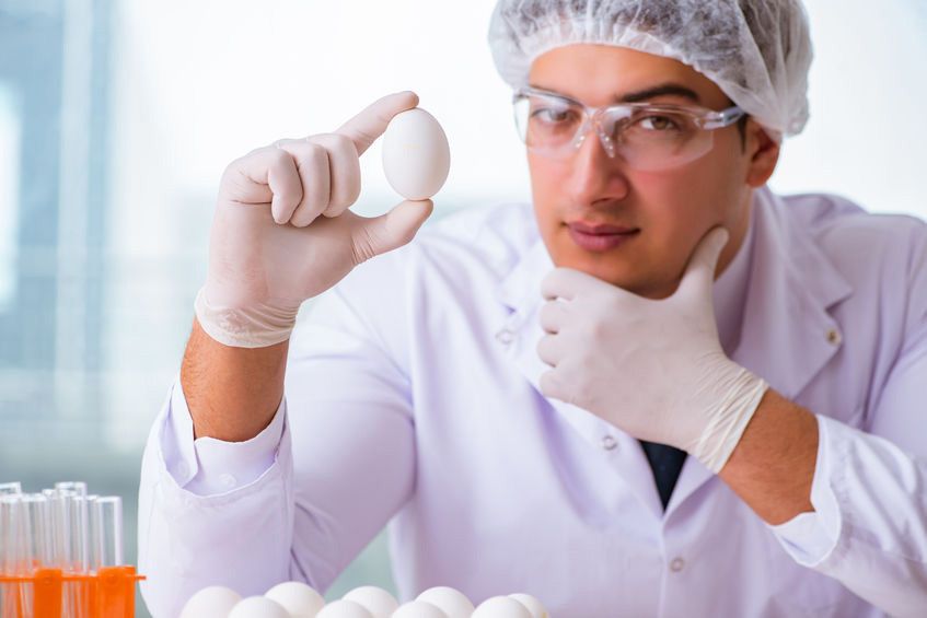 Fakta Mengapa Telur Bermanfaat bagi Kesehatan Anda