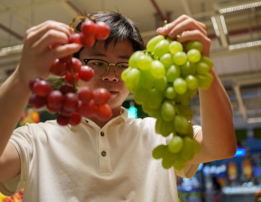 11 Manfaat Buah Anggur Untuk Kesehatan Tubuh